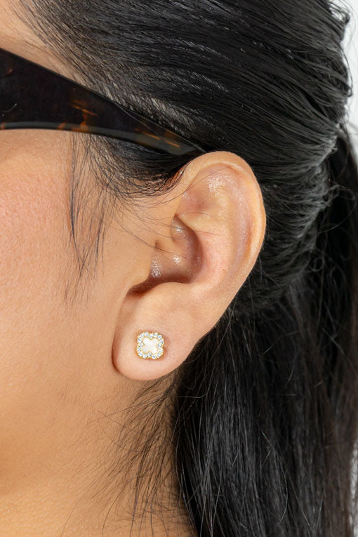 Broquel luzerne chico